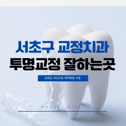 서초구 교정치과 투명교정 잘하는곳 - 의료진·야간진료·예약방법·비용 정보
