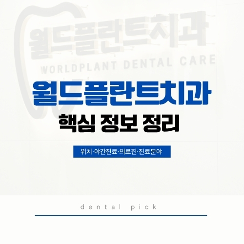 창원 월드플란트치과 핵심 정보 정리 - 위치·야간진료·의료진·진료분야 안내