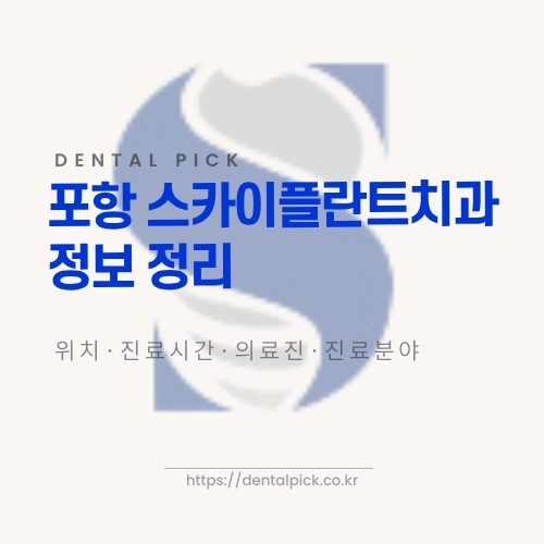 포항 스카이플란트치과 진료 안내 이미지